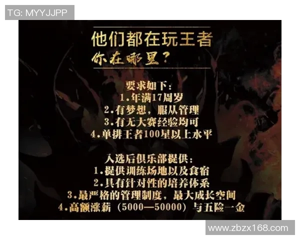 王者荣耀深度解析：揭开WE战队选手个人能力的神秘面纱