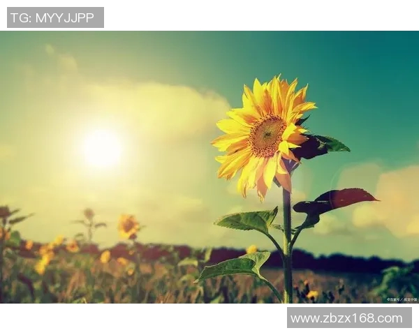 吕俊虎的奋斗故事：从平凡到卓越的成长之路与人生启示